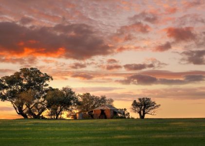 10 raisons de venir en Australie