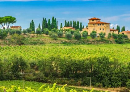 8 meilleures vacances dans les vignobles et les vins