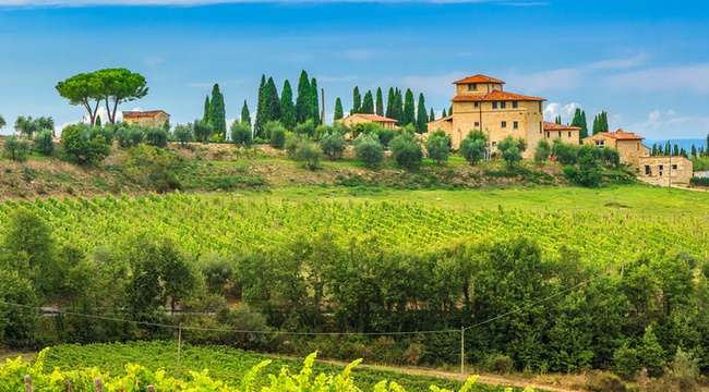 8 meilleures vacances dans les vignobles et les vins - img