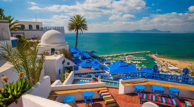 Des vacances en Tunisie pour découvrir l'exceptionnel - img