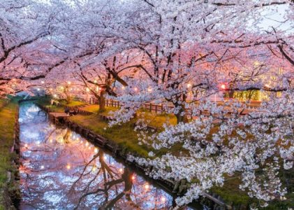 Destination Japon et guide de voyage