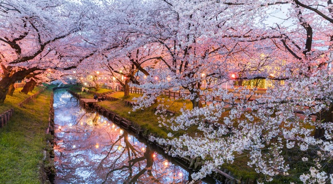 Destination Japon et guide de voyage - img