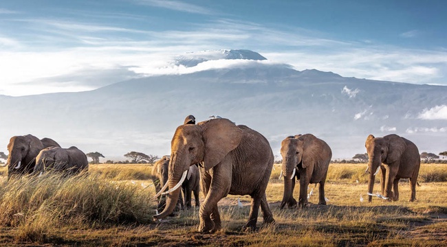 Destination Kenya et guide de voyage