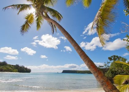 Guide des destinations et des voyages à Tonga