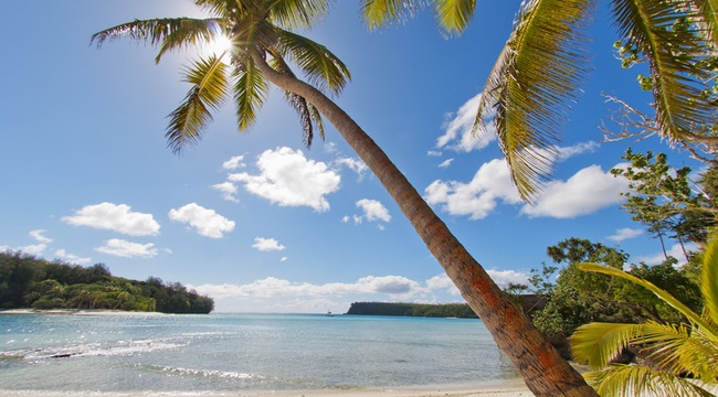 Guide des destinations et des voyages à Tonga - img