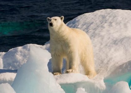 Guide des destinations et des voyages dans l&rsquo;Arctique