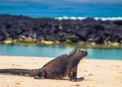 Guide des destinations et des voyages en Équateur