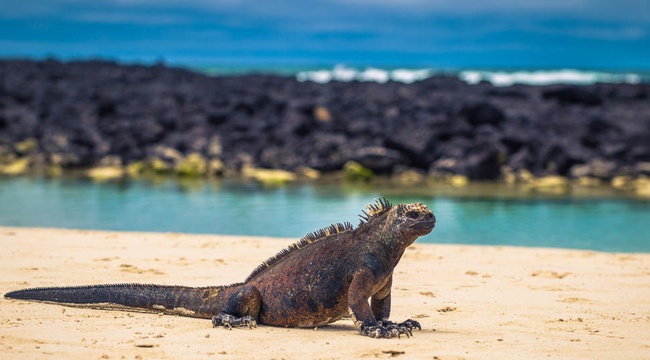Guide des destinations et des voyages en Équateur - img
