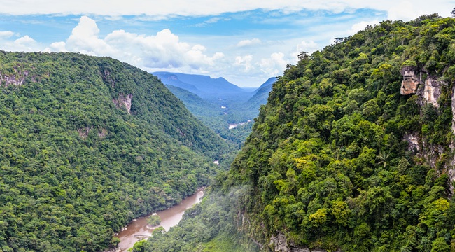 Guide des destinations et des voyages en Guyane - img