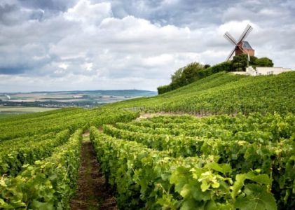 Le champagne : un atout pour vos vacances en France