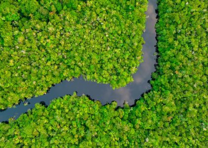 15 jours au Brésil – 5 idées d&rsquo;itinéraires uniques