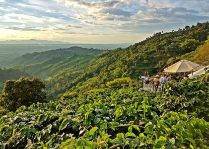 2 semaines en Colombie – 5 idées d&rsquo;itinéraires de luxe