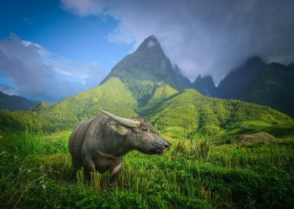 3 semaines au Vietnam et en Thaïlande – 4 idées d&rsquo;itinéraires uniques