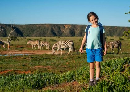 Afrique du Sud en famille : Le Cap, Stellenbosch et le Cap-Oriental – 10 jours