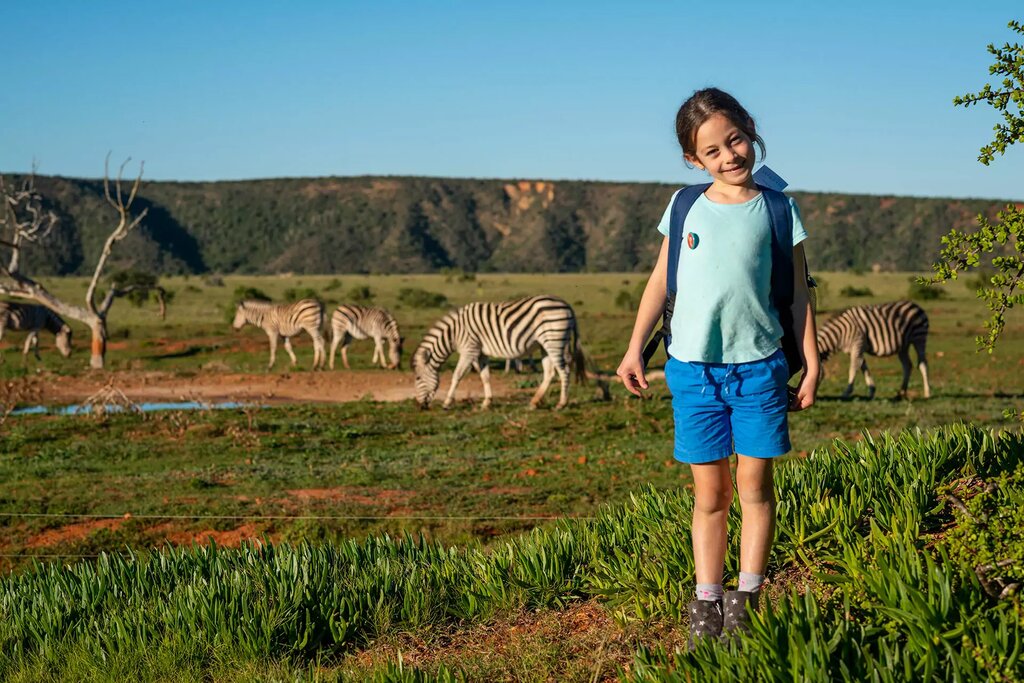 Afrique du Sud en famille : Le Cap, Stellenbosch et le Cap-Oriental - 10 jours - img