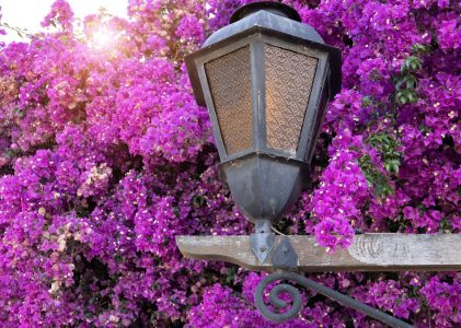 Argentine et Uruguay hors des sentiers battus – 7 jours