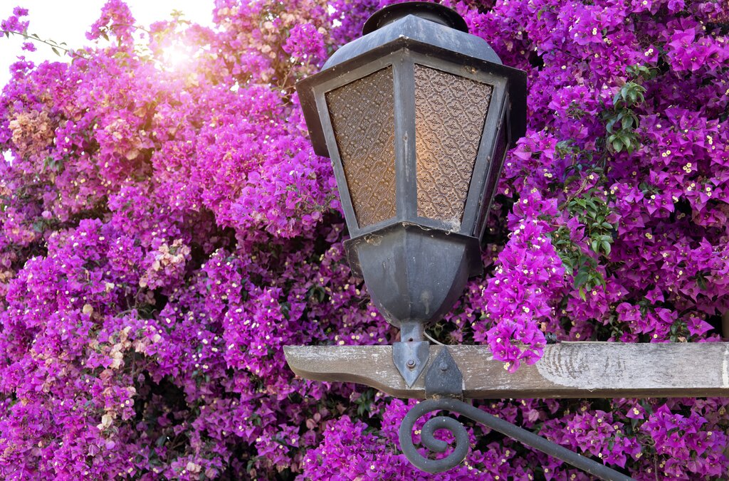 Argentine et Uruguay hors des sentiers battus – 7 jours