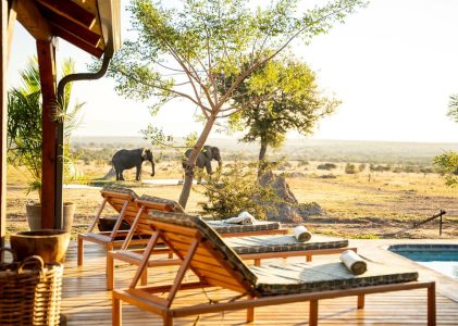 Aventure de luxe en Afrique du Sud (ville et safari) : Johannesburg et la réserve de Timbavati – 7 jours