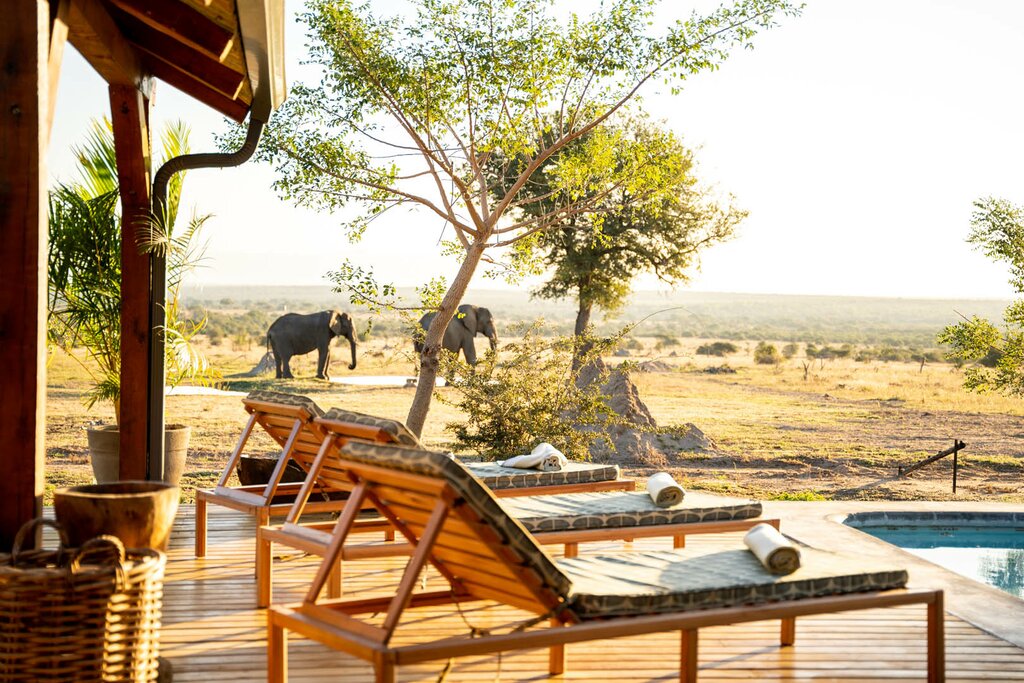 Aventure de luxe en Afrique du Sud (ville et safari) : Johannesburg et la réserve de Timbavati - 7 jours - img