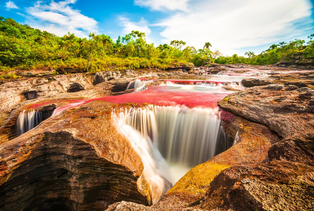 Aventure de luxe sur le fleuve arc-en-ciel de Colombie : Bogota, Caño Cristales et Medellín - 7 jours - img