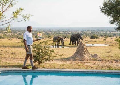 Aventure gastronomique, vinicole et safari de luxe en Afrique du Sud – 10 jours