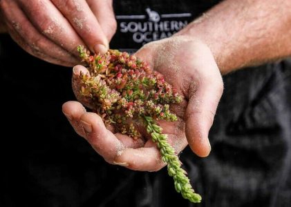 Circuit de luxe en Australie (nature et gastronomie) – 14 jours