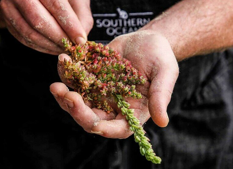 Circuit de luxe en Australie (nature et gastronomie) - 14 jours - img