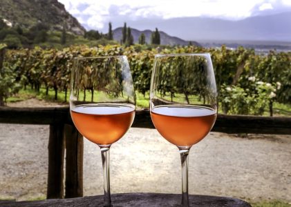 Circuit viticole et culturel en Argentine et en Uruguay – 14 jours