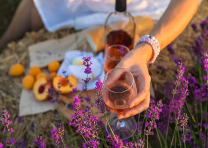 De Paris à la Provence : Vin, culture et cuisine de luxe – 10 jours
