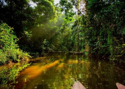 Escapade de luxe au Pérou : Jungles, montagnes et côte – 14 jours