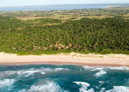 Escapade de luxe sur la côte est de l&rsquo;Afrique du Sud : Safari et plages au KwaZulu-Natal – 7 jours