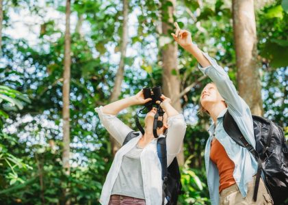 Expédition familiale aux chutes d&rsquo;Iguaçu et en Amazonie brésilienne – 7 jours