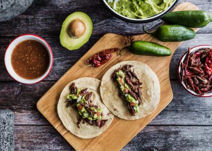 Expérience gastronomique de luxe à Oaxaca – 5 jours