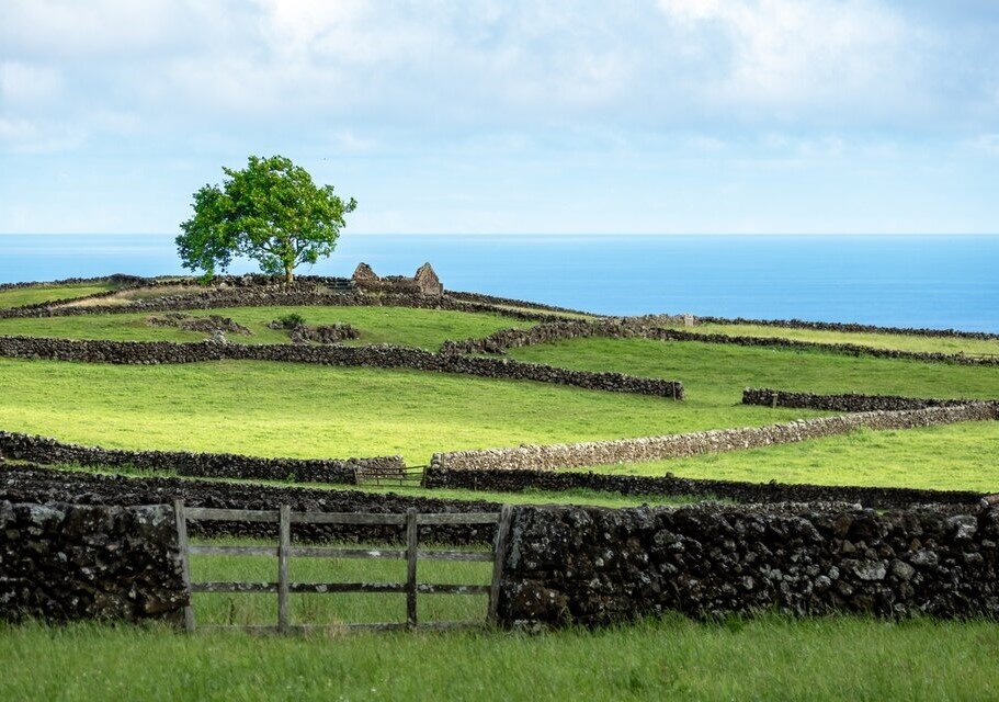 Le meilleur des Açores : São Miguel et Terceira - 5 jours - FL Vacances