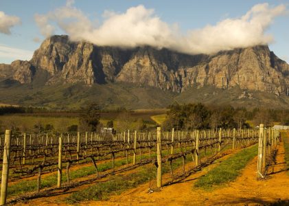 Les points forts de la Namibie et de l&rsquo;Afrique du Sud – 14 jours