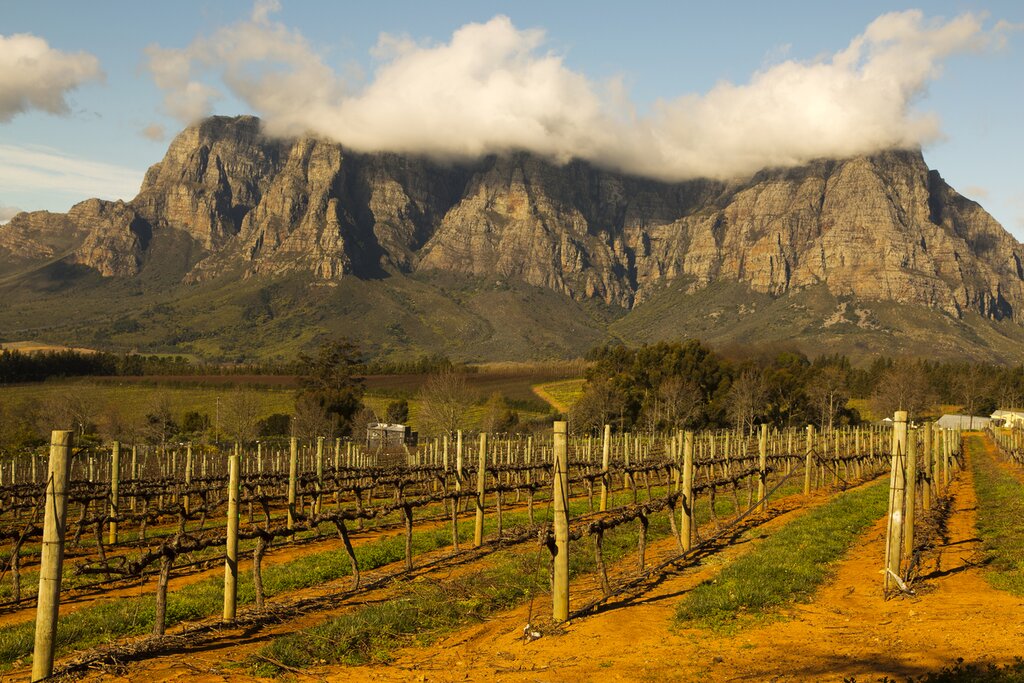 Les points forts de la Namibie et de l'Afrique du Sud - 14 jours - img