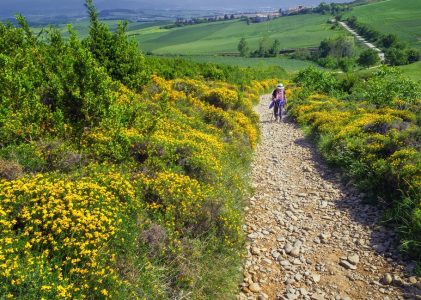 L&rsquo;ultime aventure de trekking du Camino de Santiago en Espagne – 35 jours