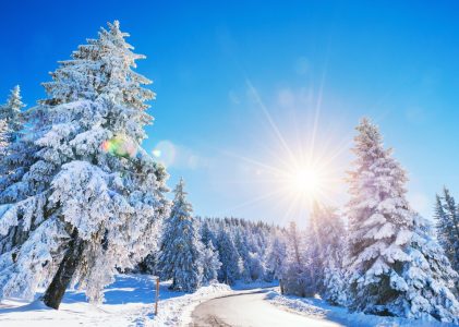 Pays des merveilles hivernales en France et en Suisse :  Annecy, Chamonix et Grindelwald – 10 jours