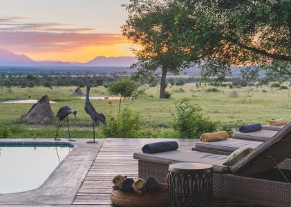 Safaris de luxe en Afrique du Sud et au-delà : Kruger, Delta de l&rsquo;Okavango et Chutes Victoria – 10 jours