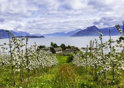 Saga scandinave : Road Trip d&rsquo;été Islande et Norvège – 14 jours