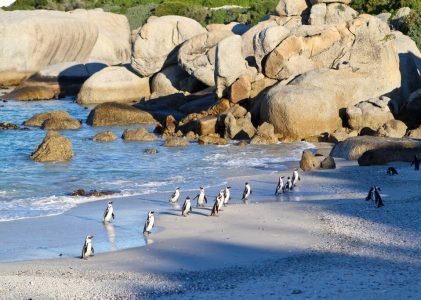 Voyage le long de la côte sud-africaine – 16 jours