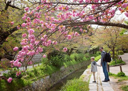 10 jours au Japon – 4 idées d&rsquo;itinéraires pour les familles