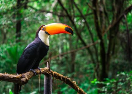 10 jours en Argentine et en Uruguay – 5 idées d&rsquo;itinéraires uniques