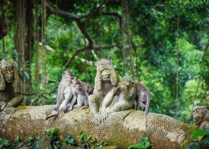 5 jours à Bali – 4 idées d&rsquo;itinéraires uniques