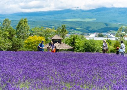 Activités familiales sur l&rsquo;île d&rsquo;Hokkaido : Club Med, visites culturelles et excursions en plein air – 9 jours