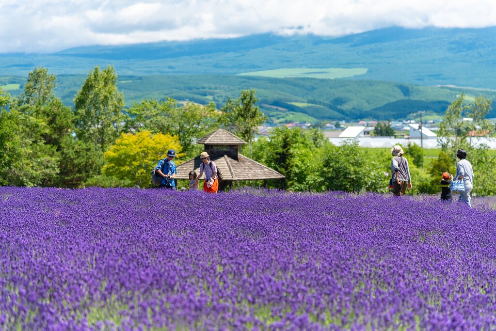 Activités familiales sur l'île d'Hokkaido : Club Med, visites culturelles et excursions en plein air - 9 jours - img