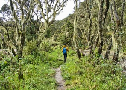 Aventure active en Ouganda – 14 jours