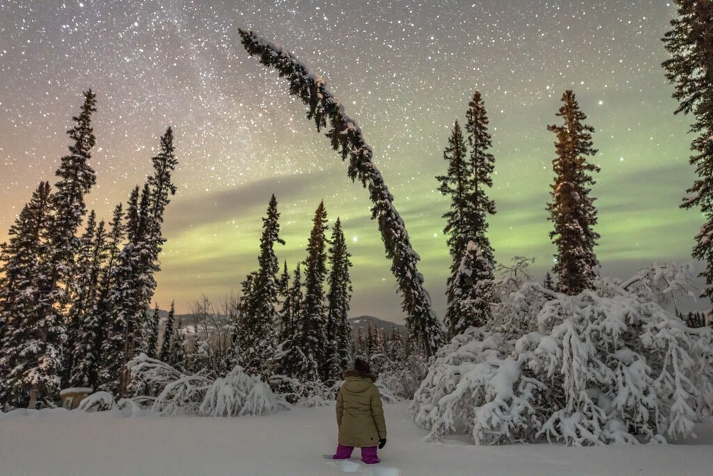 Aventure des aurores boréales dans le nord du Canada : Whitehorse et Yellowknife - 13 jours - img