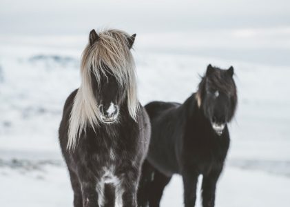 Aventure en jeep sur les hauts plateaux d&rsquo;Islande – 14 jours