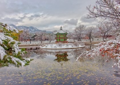 Aventure hivernale en Corée du Sud : Séoul, l&rsquo;île de Jeju, Sokcho et Pyeongchang – 8 jours